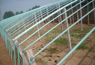 蔬菜大棚技术与建设指南 从选材到施工的完整解析
